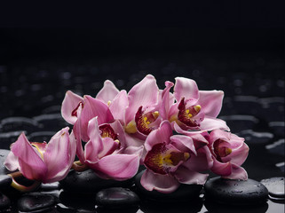 Fototapeta na wymiar branch orchid flower with therapy stones