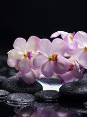 Obraz na płótnie Canvas branch orchid flower with therapy stones