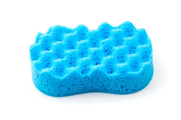 Isolated sponge