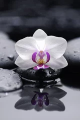 Schilderijen op glas Single white  orchid with zen stones reflection © Mee Ting