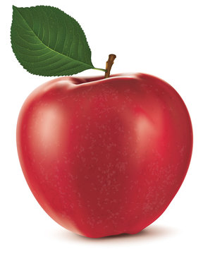 Red Apple On White Background. Vector Illustration