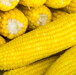 steam corn