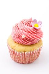 Vanilla cupcakes isolated white background