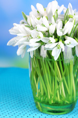 Beautiful snowdrops in vase, on table on bright background