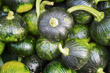 green pumpkins at the market