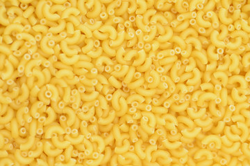 Background texture of pasta shells