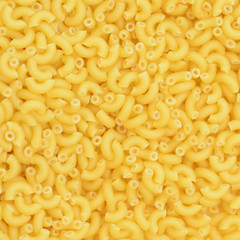 Background texture of pasta shells
