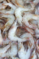 Fresh shrimp in market