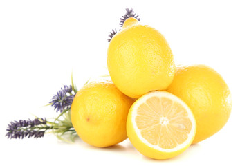 Fototapeta na wymiar Still life with fresh lemons and lavender, isolated on white