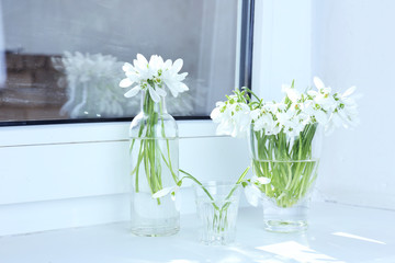 Beautiful bouquets of snowdrops in vases on windowsill
