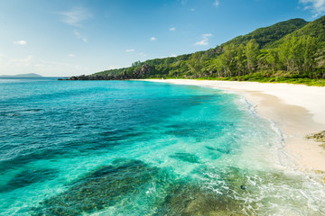 tropical beach