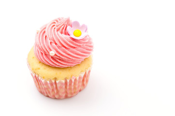 Vanilla cupcakes isolated white background