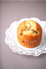 muffin