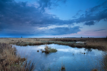 sunset sky over swamp in summer