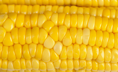 Yellow corn