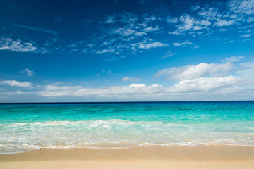 tropical beach