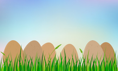easter eggs on grass