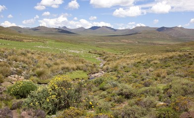 Pastoral scen at high altitude in Lesotho