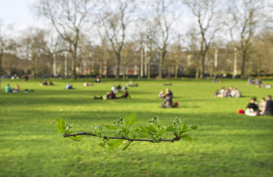  Hyde Park In London.