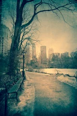 Poster Vintage toned view of Central Park, NYC on winter day © littleny