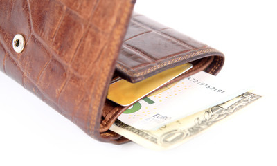 Leather purse with banknotes and cards