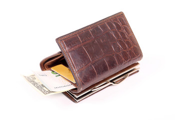 Leather purse with banknotes and cards