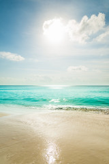tropical beach