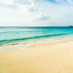 tropical beach