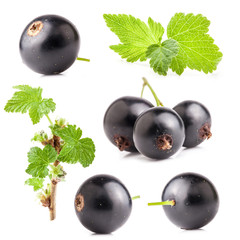 Collections of Black currant isolated on white background