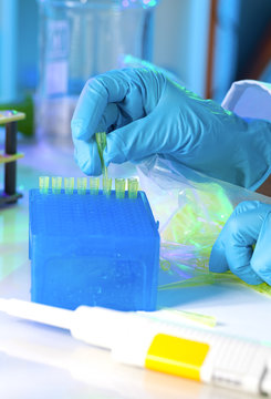 Tech fills in a plastic box with yellow tips for automatic pipet