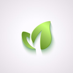 Obraz premium flat leaves background