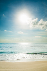 tropical beach