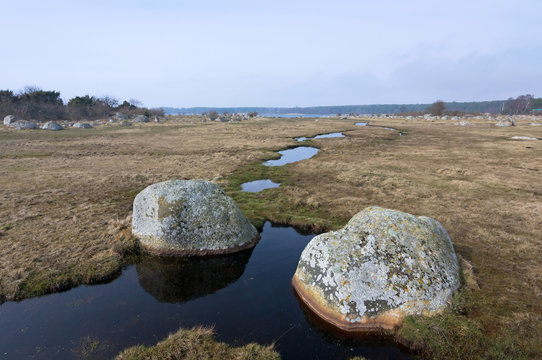 Spring water brook on Swedish sea coast