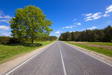 Fototapeta na wymiar summer road - the asphalted road to summertime of year. along the road trees grow