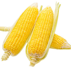 Corn