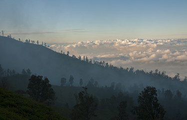 The beauty of Java