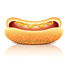 Hot dog vector illustration