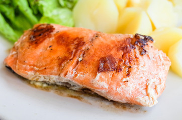 Grilled Salmon