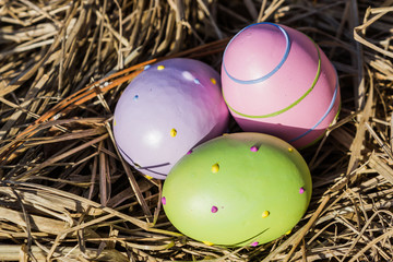 Obraz premium Easter eggs