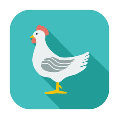 Chicken single icon.
