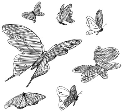 Set of hand drawn butterflies.