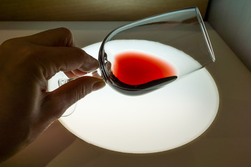 dégustation vin rouge © Eléonore H