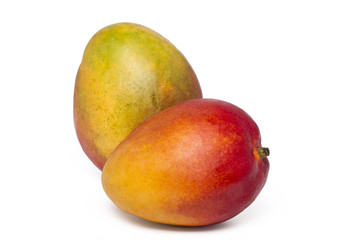  mango fruit isolated on a white background.