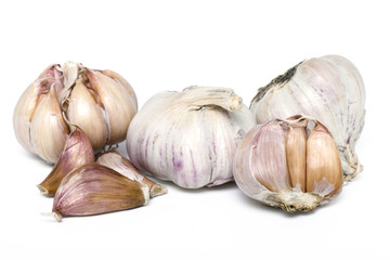 garlic bulbs isolated 
