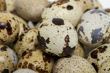 Obraz premium raw quail eggs isolated 