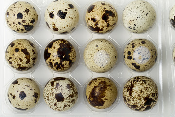 raw quail eggs isolated 