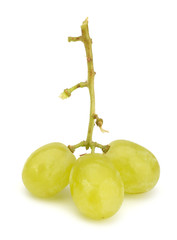 Green grape bunch isolated on white background