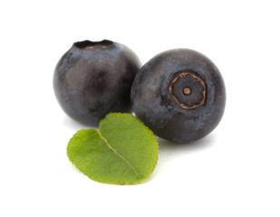 Fresh blueberries isolated on white background