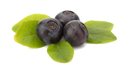 Fresh blueberries isolated on white background