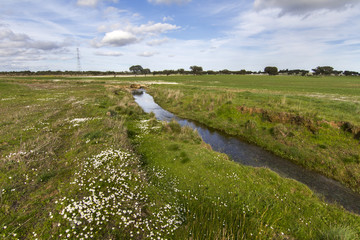  landscape on the Alentejo region, Portugal. © Mauro Rodrigues
